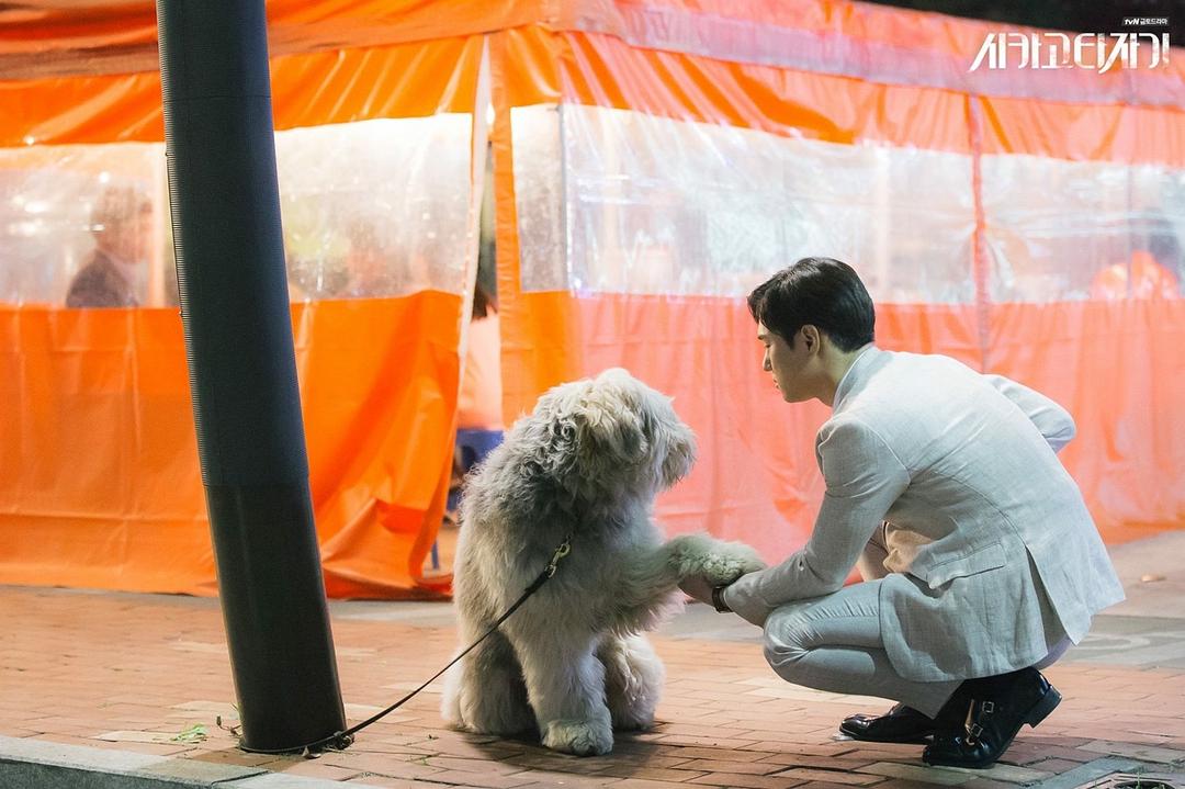 《芝加哥打字机》剧照第39张图片