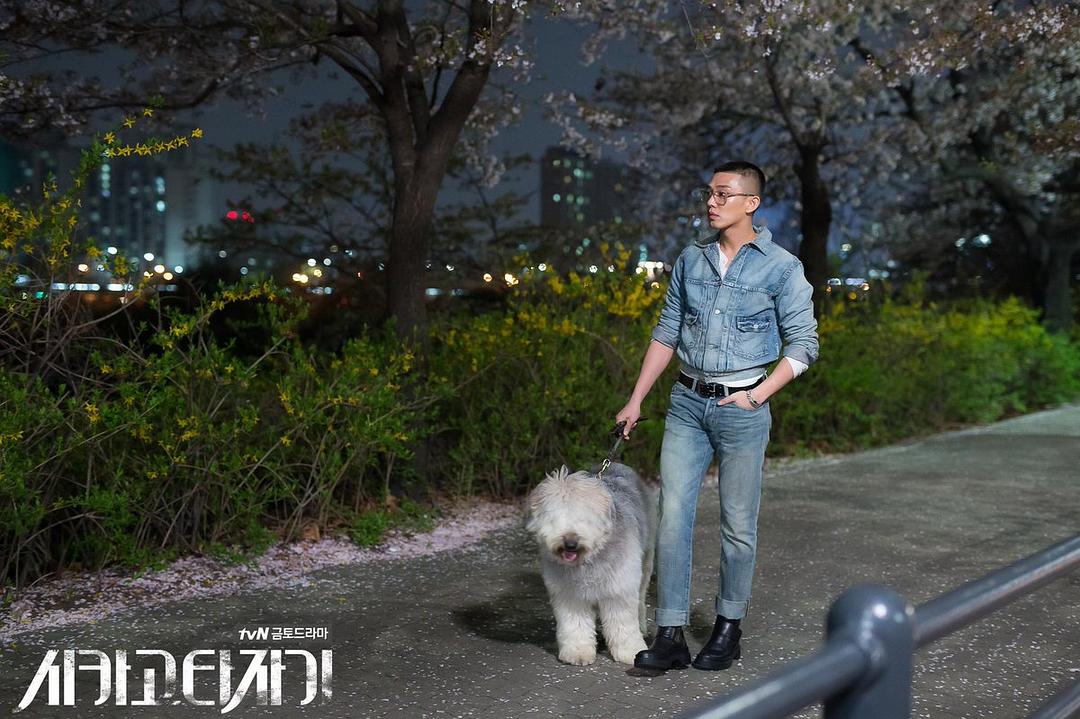 《芝加哥打字机》剧照第14张图片