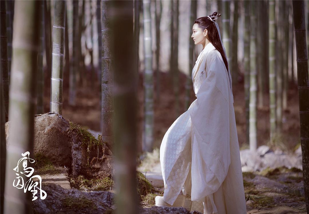 《凤囚凰》海报第48张图片