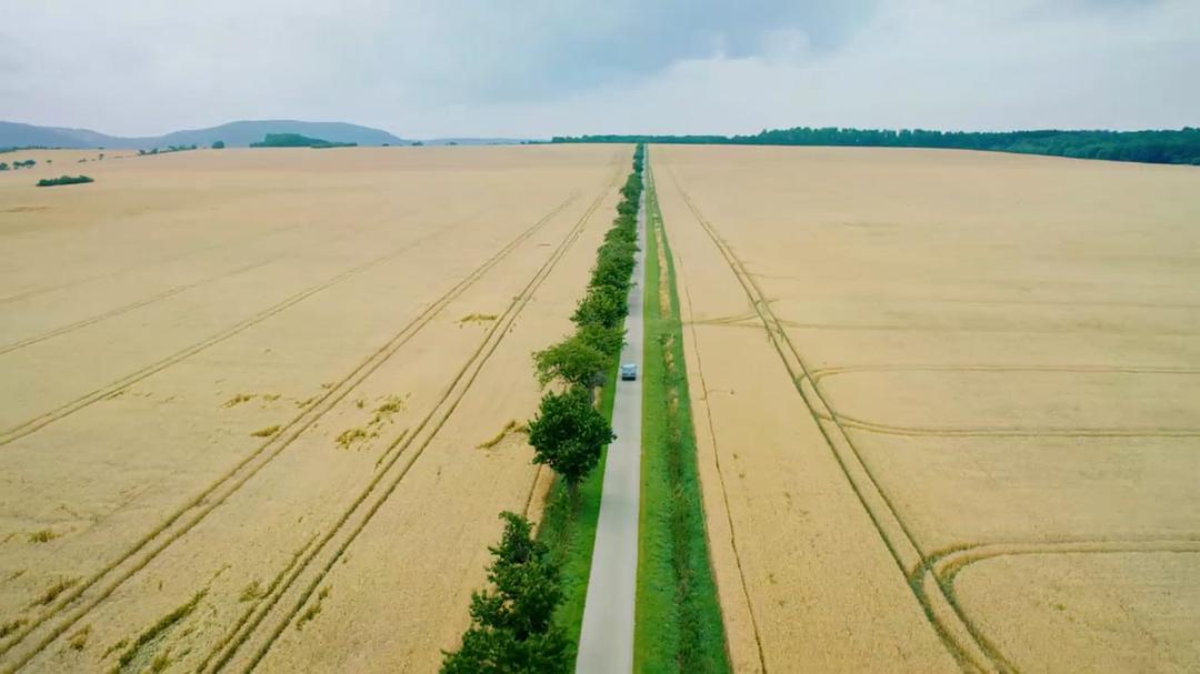 《契克》海报第34张图片
