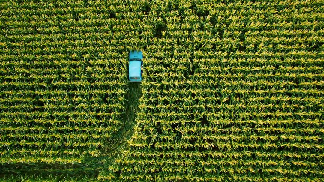 《契克》海报第16张图片