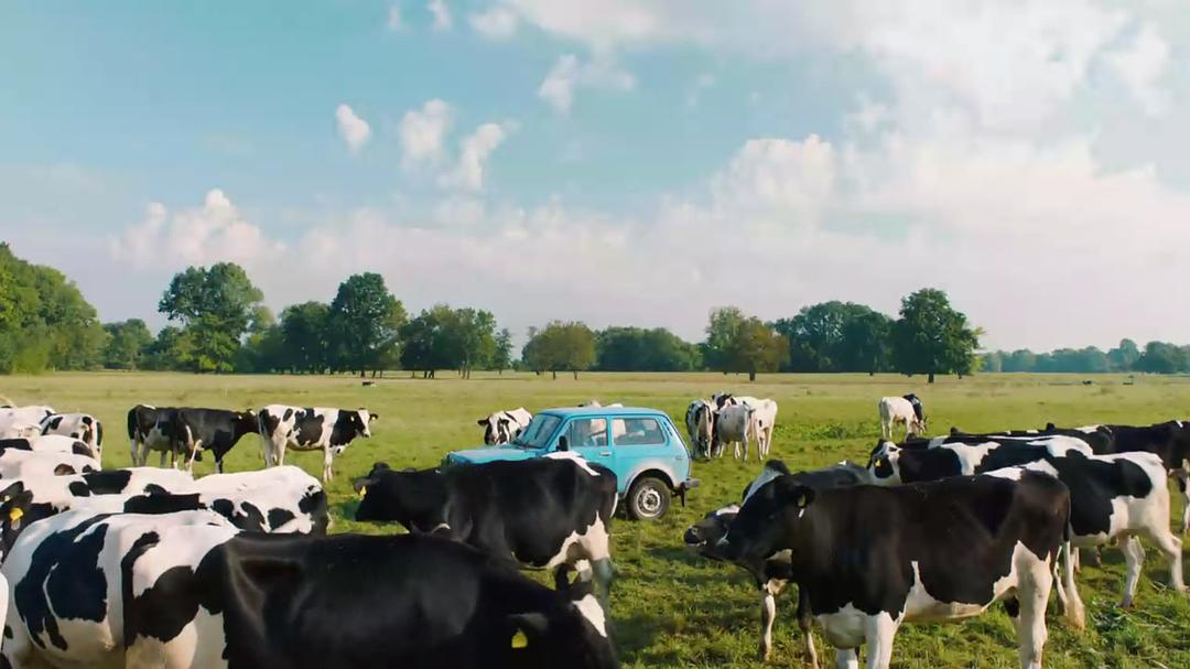 《契克》海报第24张图片