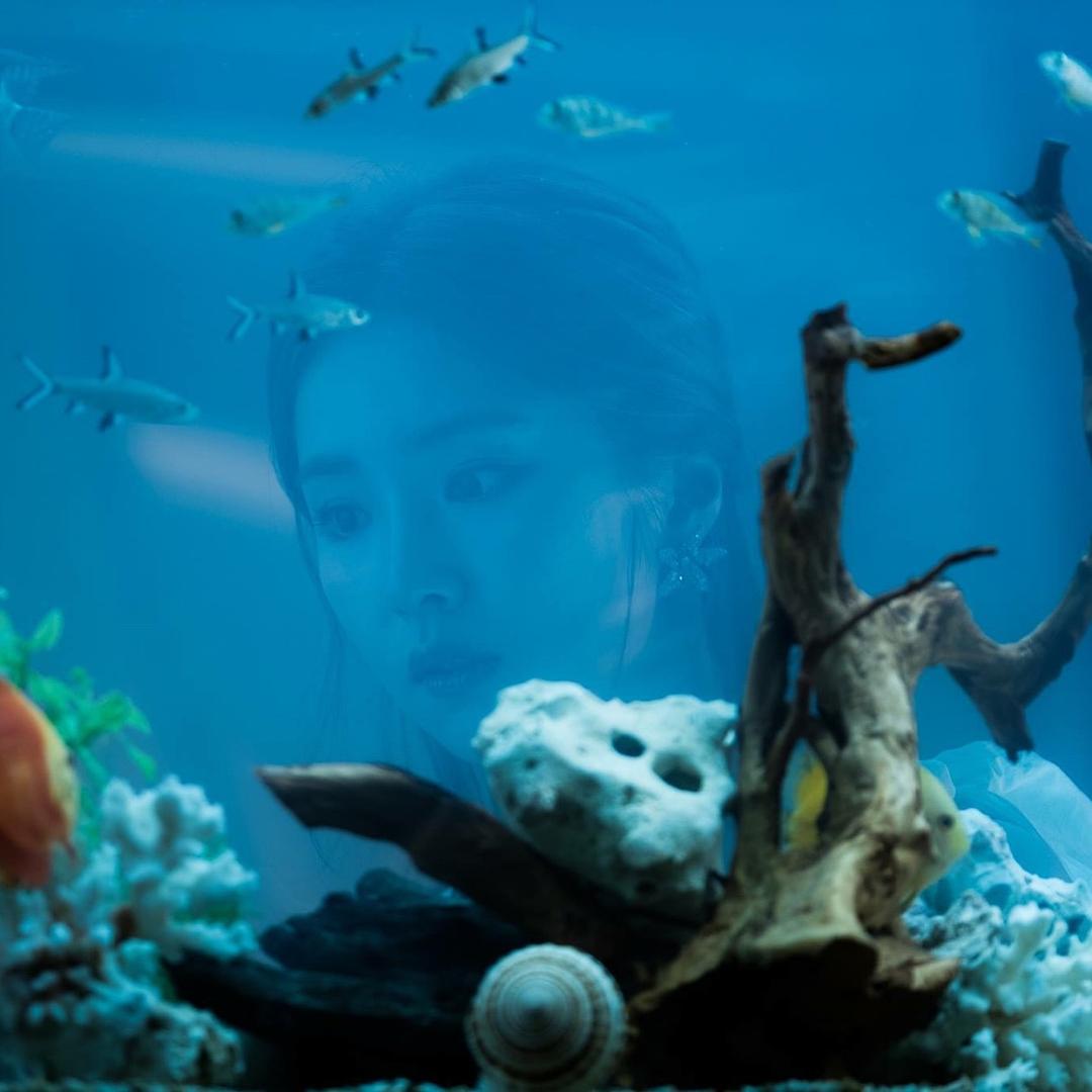 《河伯的新娘2017》剧照