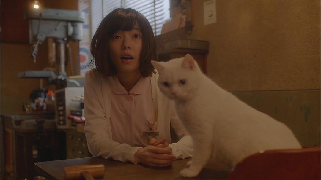 《毛毯猫》剧照第25张图片