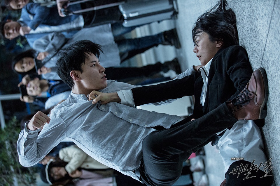 《秘密森林》剧照