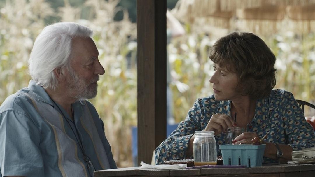 《爱在记忆消逝前》海报第12张图片