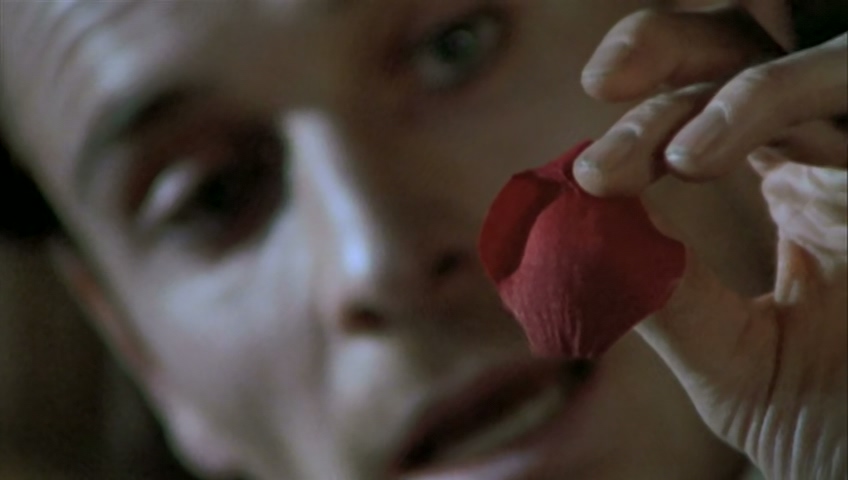 《女巫第一季》海报第54张图片