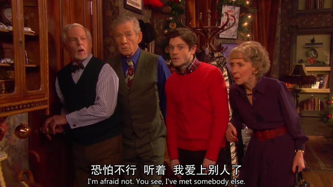 《极品基老伴：2013圣诞特辑》海报第59张图片