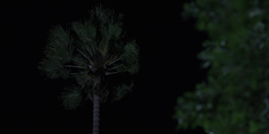 《透明家庭第四季》海报第23张图片