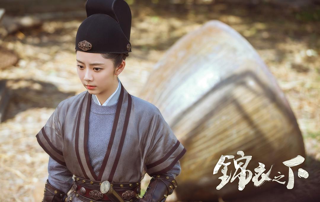 《锦衣之下》海报第46张图片