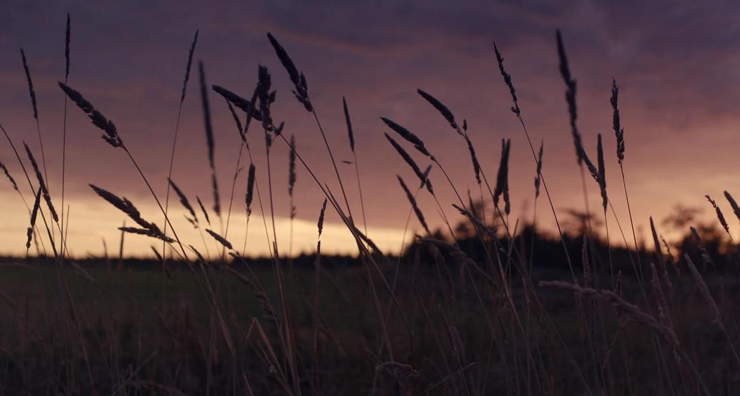《莫娣》海报第37张图片