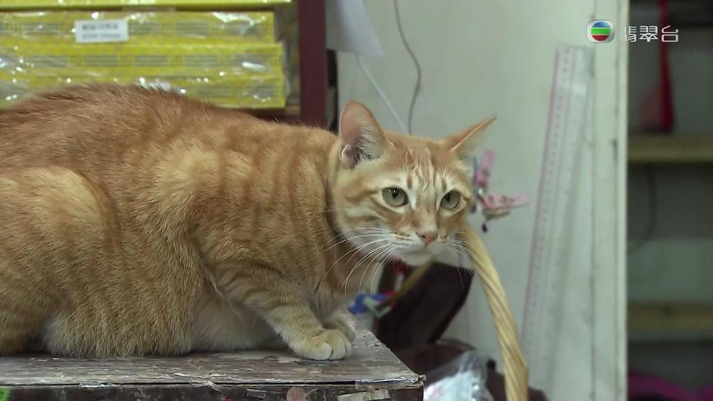 《超时空男臣》剧照