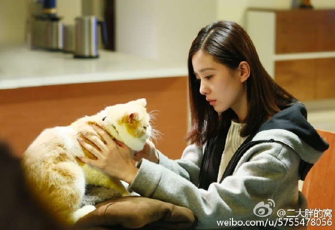 《如果可以这样爱》剧照