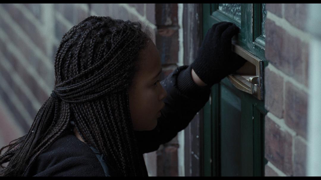 CriterionCollectionS...