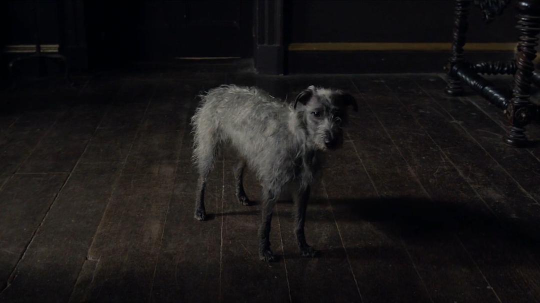 《微缩屋工匠》剧照第55张图片