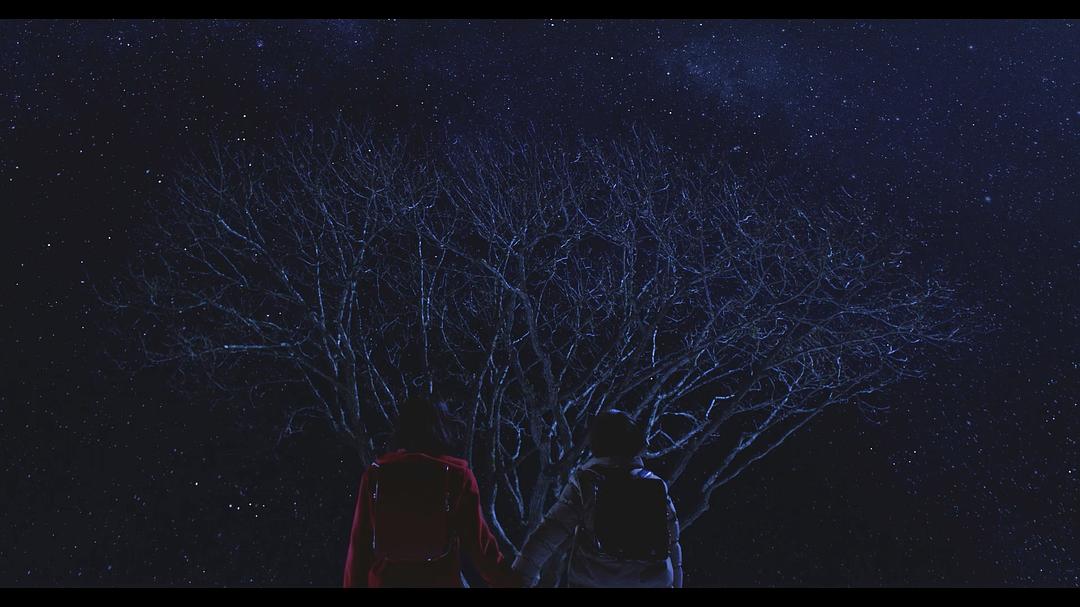 《只有我不存在的城市》海报第53张图片