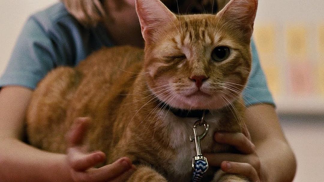 《天才少女》海报