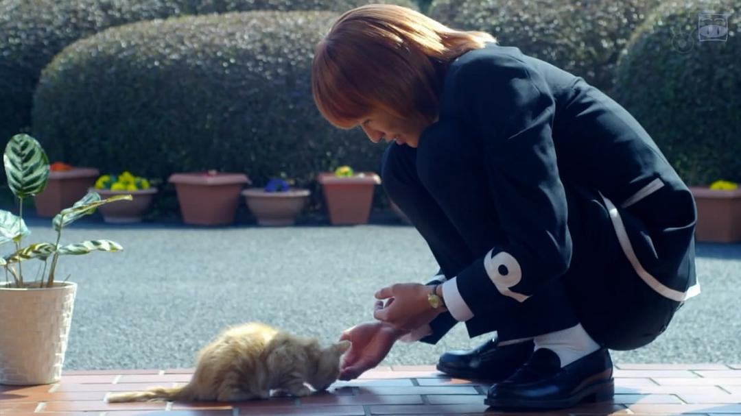 《帝一之国：学生街的咖啡店》剧照