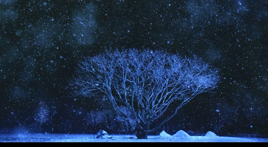 《只有我不存在的城市》海报第38张图片