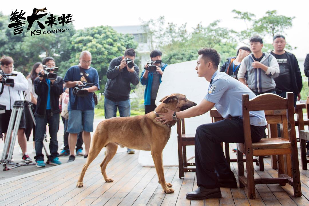 《警犬来啦》海报第16张图片