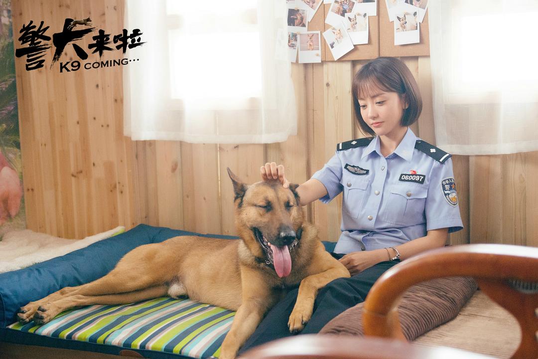 《警犬来啦》海报第2张图片