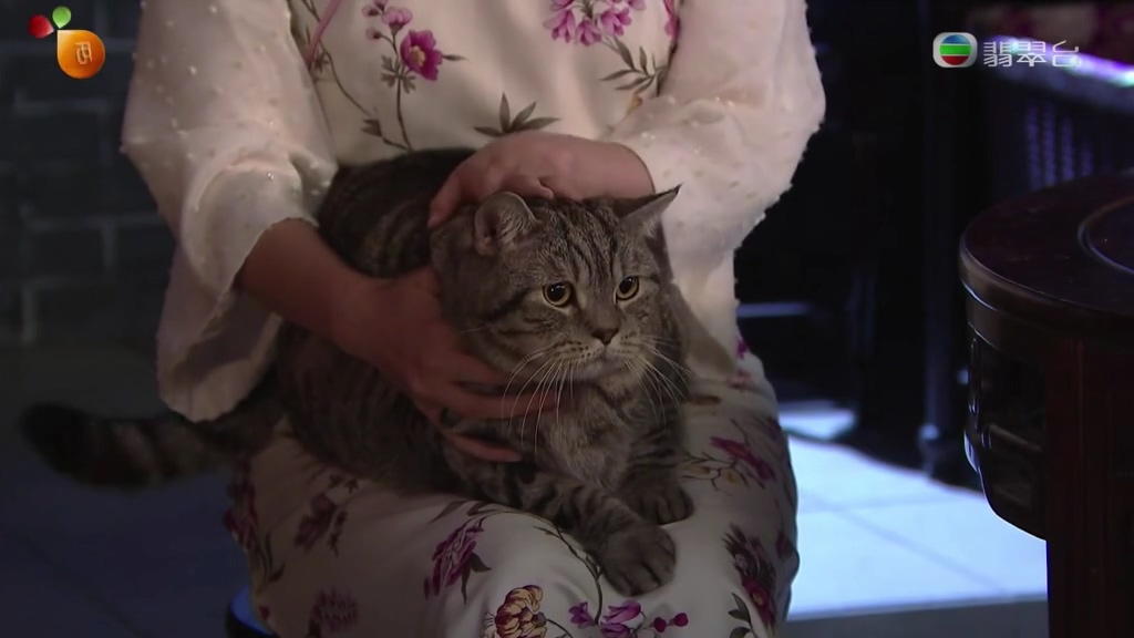 《平安谷之诡谷传说》剧照