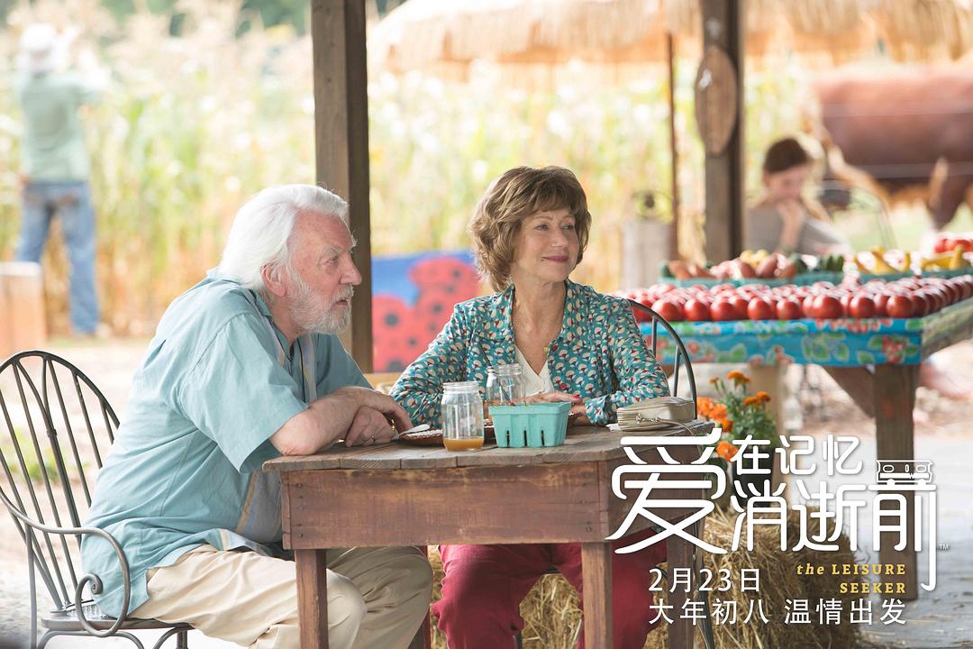 《爱在记忆消逝前》海报第20张图片