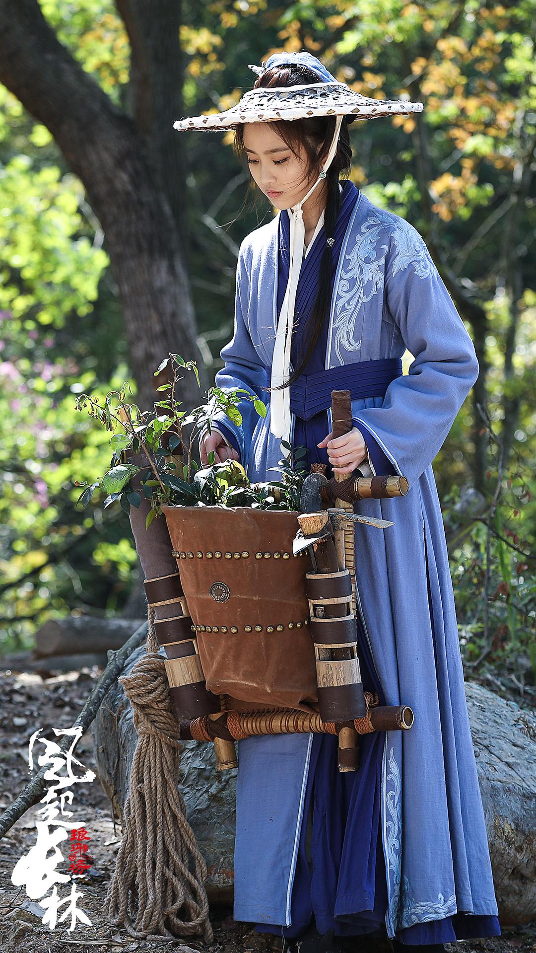 《琅琊榜之风起长林》海报第36张图片