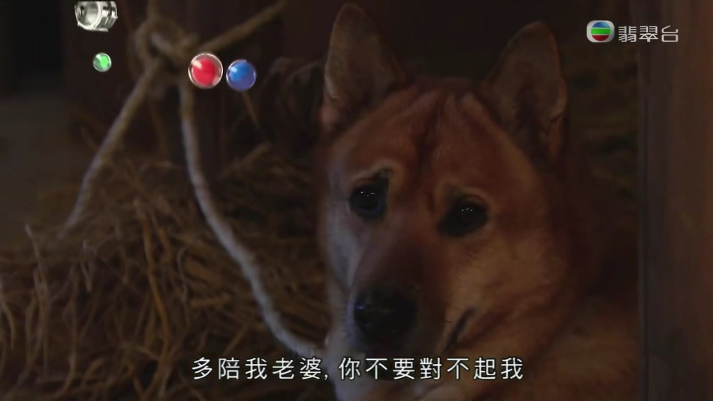 《平安谷之诡谷传说》剧照第19张图片