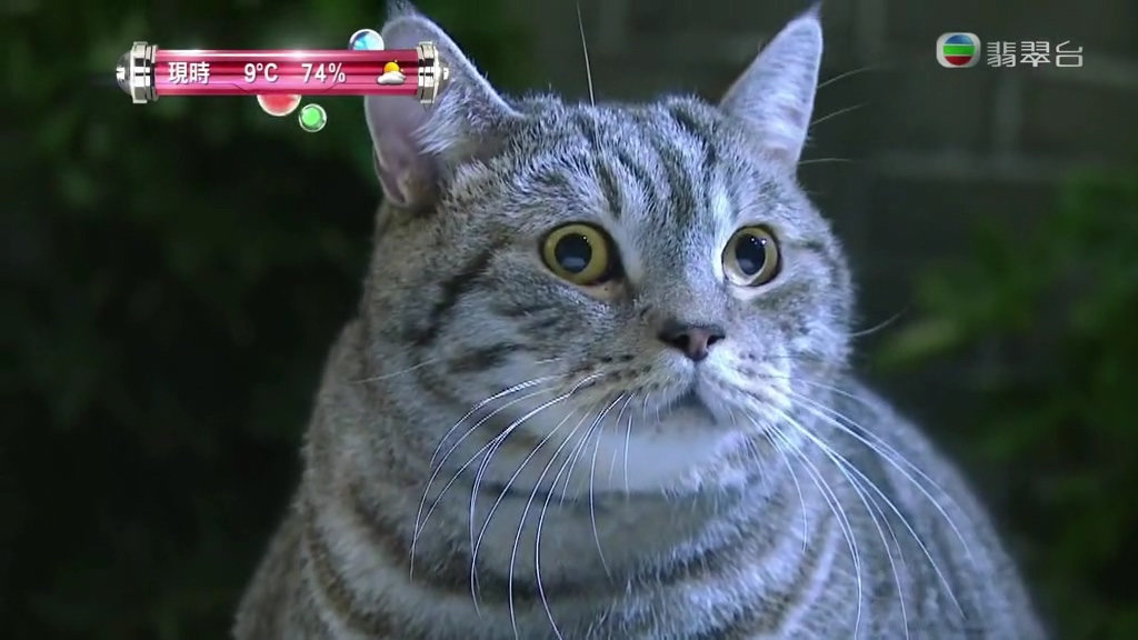 《平安谷之诡谷传说》剧照