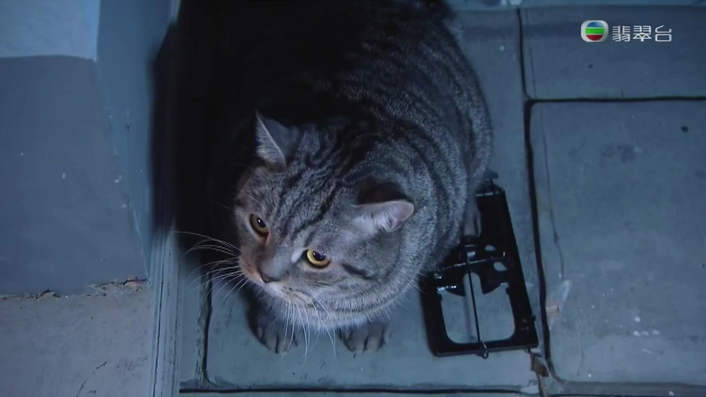 《平安谷之诡谷传说》剧照