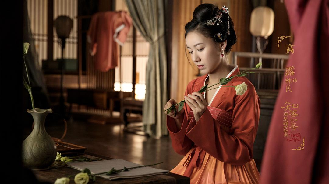 《知否知否应是绿肥红瘦》剧照