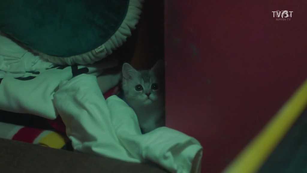 《anone》剧照第47张图片