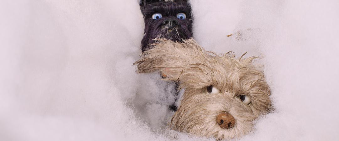 《犬之岛》剧照第25张图片