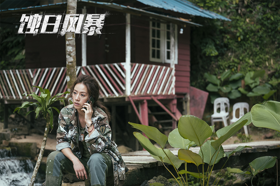 《蚀日风暴》剧照