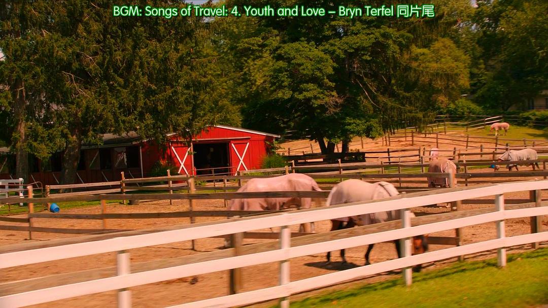 《丛林中的莫扎特第四季》剧照