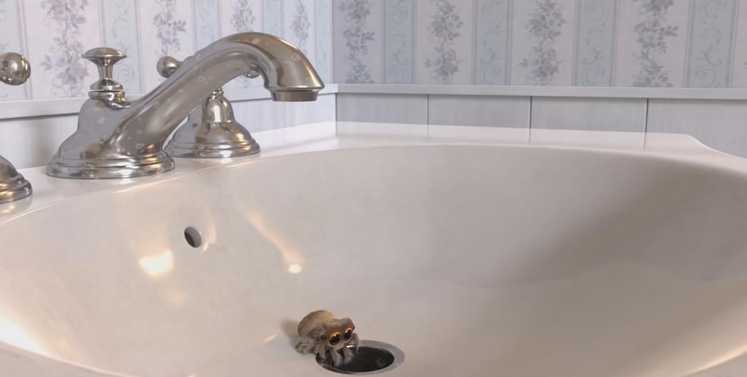 《小蜘蛛卢卡斯》海报第12张图片