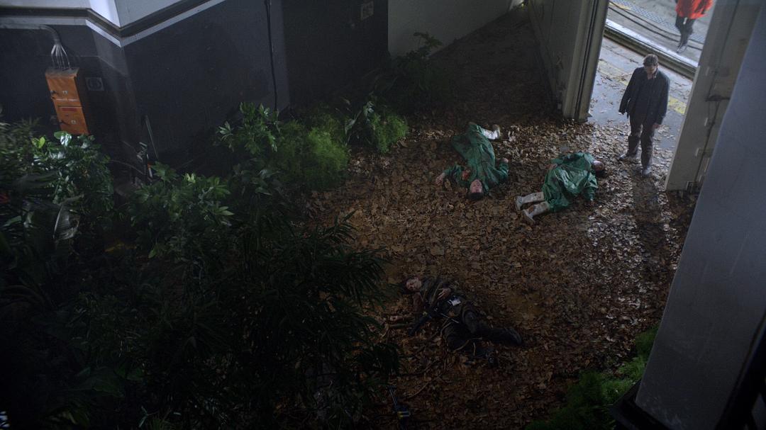 《三尖树时代》剧照