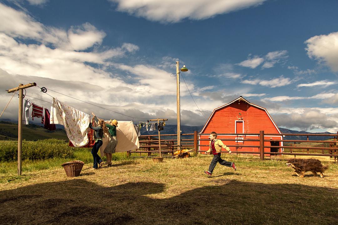《少年斯派维的奇异旅行》海报