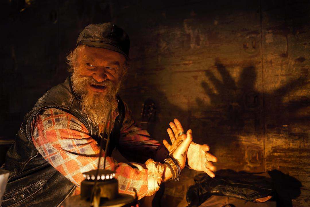 《少年斯派维的奇异旅行》海报第29张图片