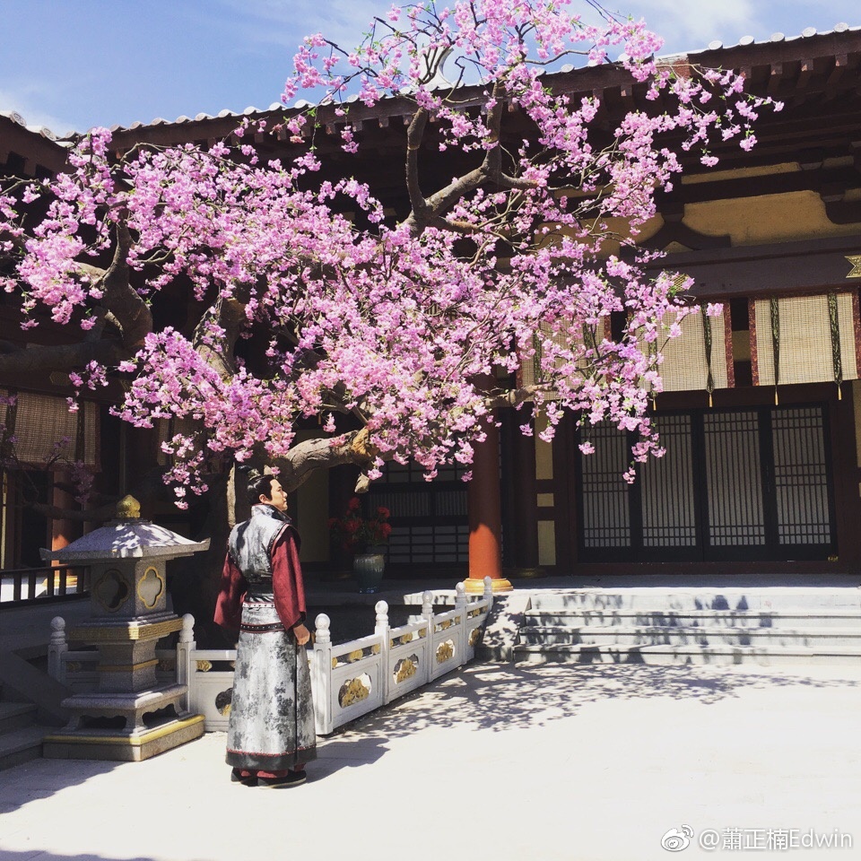 《深宫计》剧照第12张图片