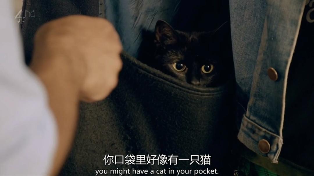 《爱尔兰人在伦敦第一季》海报第16张图片