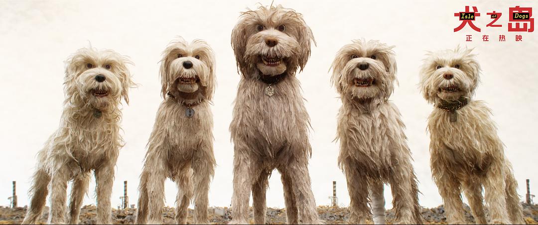 《犬之岛》剧照第16张图片