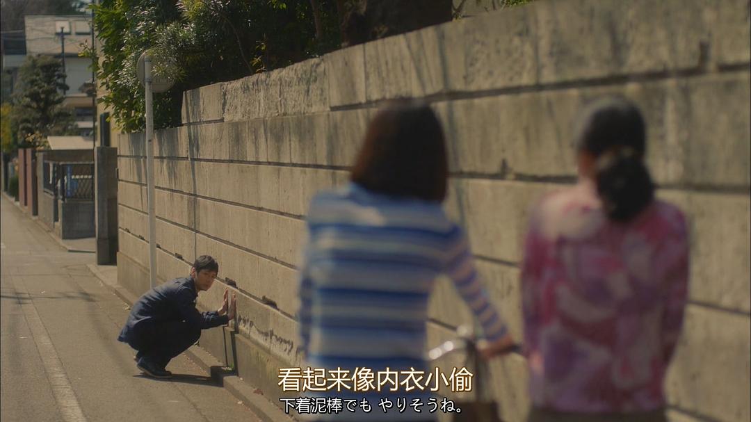 《毛毯猫》剧照第16张图片