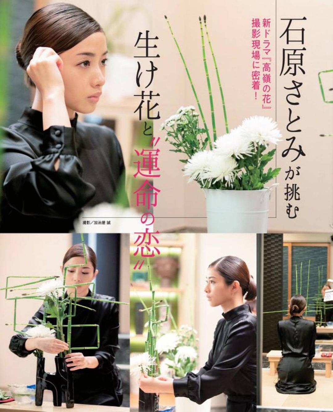 《高岭之花》剧照第21张图片