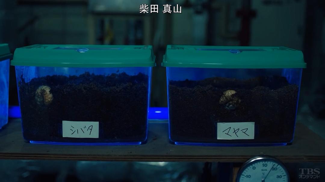 《SICK'S恕乃抄～内阁情报调査室特务事项専従系事件簿～》剧照