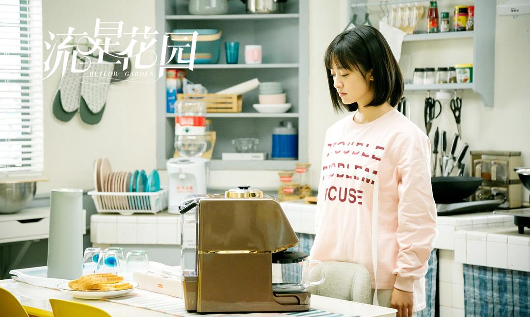 《流星花园》海报第53张图片