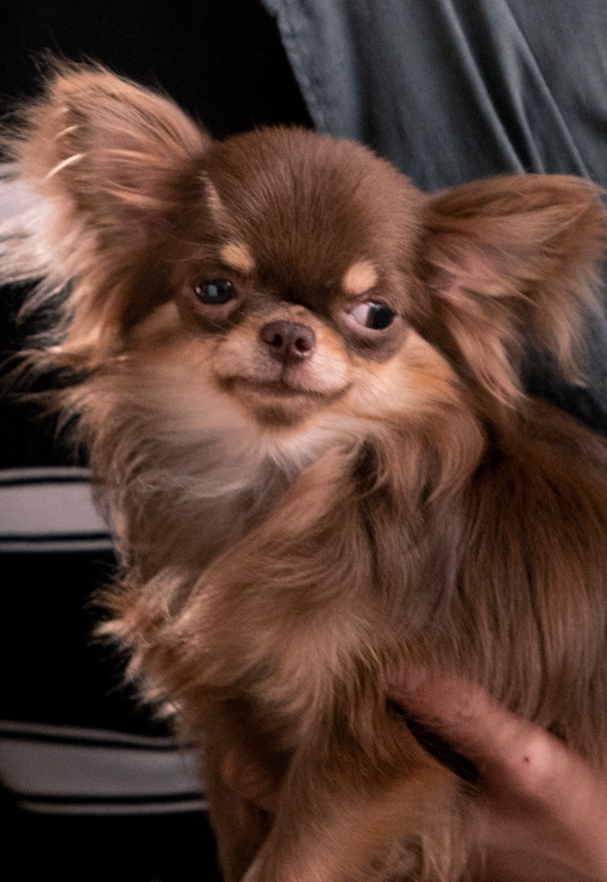 《虽然30但仍17》剧照