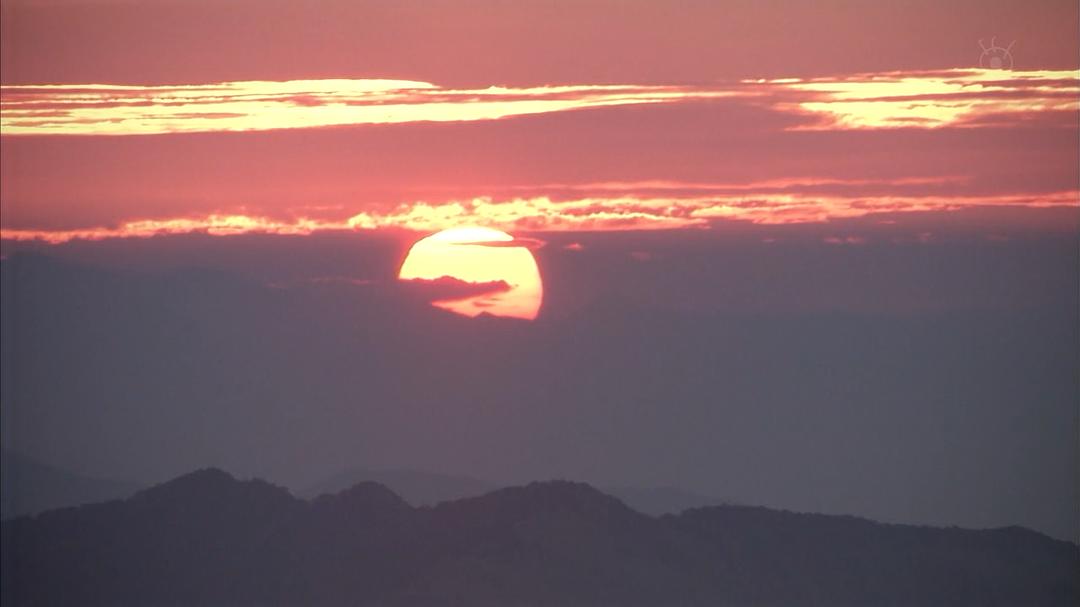 《紧急救命另一个日常》剧照
