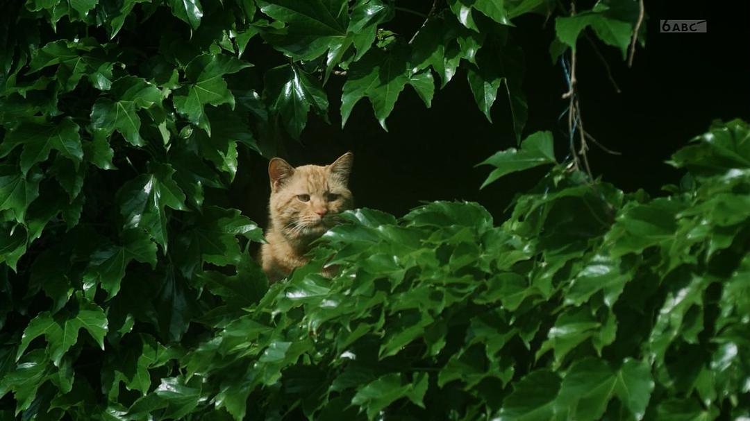 《人生删除事务所》剧照第41张图片